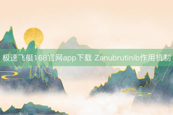 极速飞艇168官网app下载 Zanubrutinib作用机制
